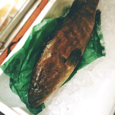 なぜクエは 幻の高級魚 なのか 扇町和庵 青空